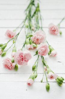 Rosy dianthus flowers on wooden table, close up - CZF000046