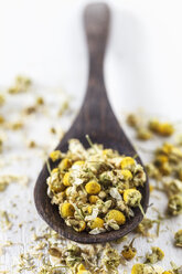 Dried chamomile on spoon, studio shot - EVGF000174