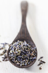 Dried lavender on spoon, studio shot - EVGF000170