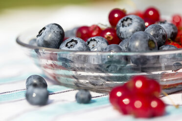 Germany, Bavaria, Blueberries and red currant in glass bowl - SARF000103