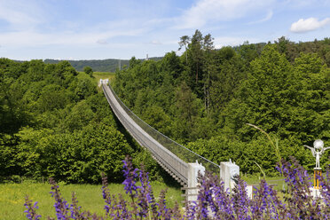 Österreich, Kärnten, Blick auf die Hängebrücke - SIEF004277