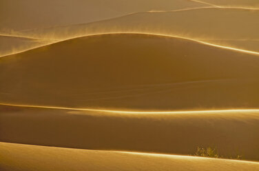 Afrika, Marokko, Blick auf die Erg Chebbi-Dünen - WGF000019