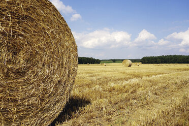 Deutschland, Strohballen auf dem Feld - HOH000224