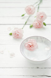Dianthus flower with bowl of water on wooden table, close up - CZF000057