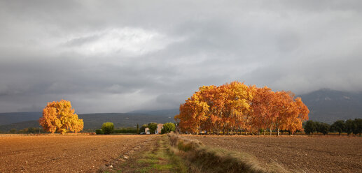 France, Autumn in Rustrel - DHL000035