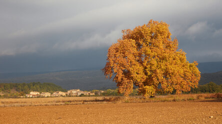 France, Autumn in Rustrel - DHL000034