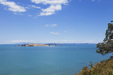 New Zealand, Auckland, View of Browns Island - GW002398
