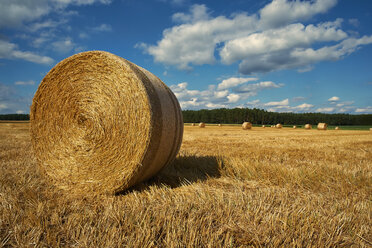 Germany, Bavaria, Nurnberg, View of rolled up bales on field - DIKF000072