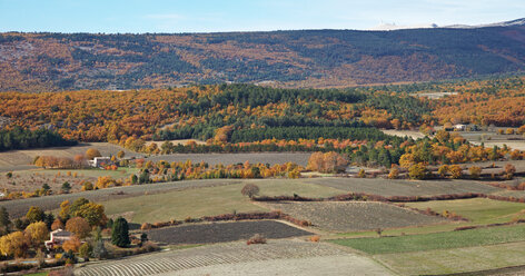 France, Landscape in autumn near Sault and Mont Ventoux in background - DHL000043