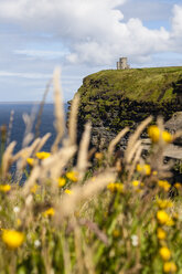 Irland, Landschaft an den Cliffs of Moher - SR000336