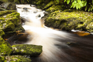 Ireland, Killarney National Park, Torc waterfall - SR000333
