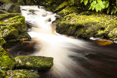 Irland, Killarney National Park, Torc Wasserfall - SR000333