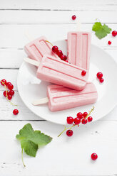 Studio, redcurrant popsicles, redcurrants on a white wooden table - CZF000069