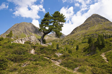 Italien, Südtirol, Pustertal, Antholz-Obertal, Staller Sattel - UM000632