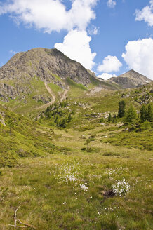 Italien, Südtirol, Pustertal, Antholz-Obertal, Staller-Sattel, Grenze zu Österreich - UM000648