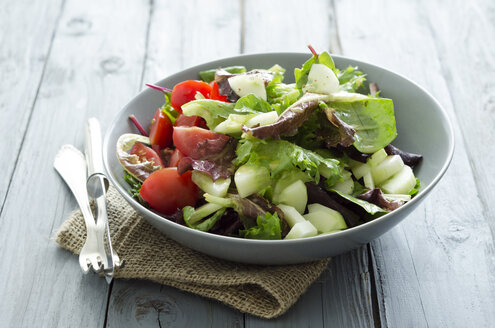 Gemischter Salat mit Tomaten und Essig-Öl-Dressing - ODF000409