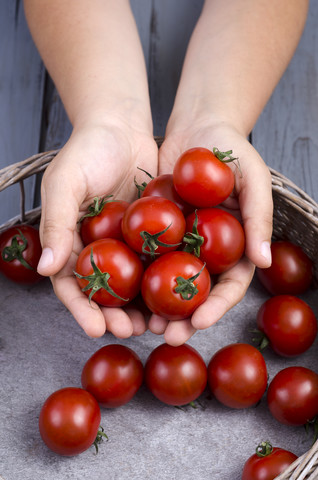 Hände mit Tomaten, lizenzfreies Stockfoto