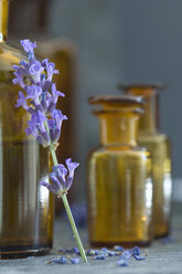 Lavendelzweig lehnt an brauner Glasflasche - ASF005136