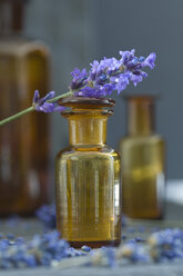 Lavendelzweig auf einer Braunglasflasche - ASF005135