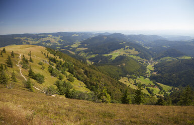 Germany, Baden-Wuerttemberg, Black Forest, view from Belchen - DHL000061