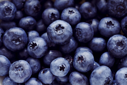 Studio, fresh blueberries, close-up - CZF000075