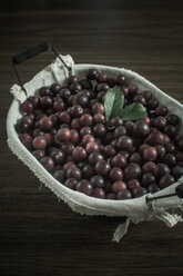 Red mirabelles in a basket - MJ000389