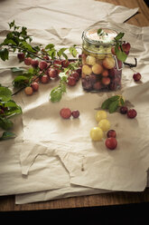 Mirabelles in a jar - MJF000386