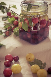 Mirabelles in a jar - MJ000385