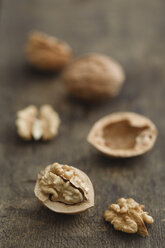 Fresh walnuts, studio shot - EC000320