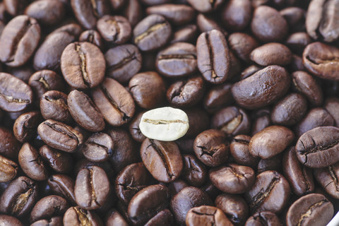 Geröstete und eine ungeröstete Kaffeebohne auf einem Tisch, lizenzfreies Stockfoto