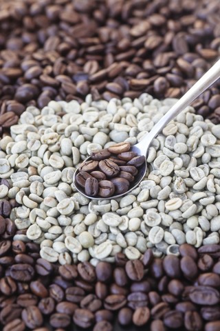 Geröstete und ungeröstete Kaffeebohnen mit einem Löffel, lizenzfreies Stockfoto