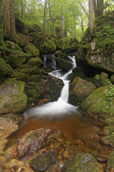 Österreich, Niederösterreich, Ysper-Tal, Große Ysper - GFF000258