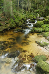 Österreich, Niederösterreich, Ysper-Tal, Große Ysper - GFF000252