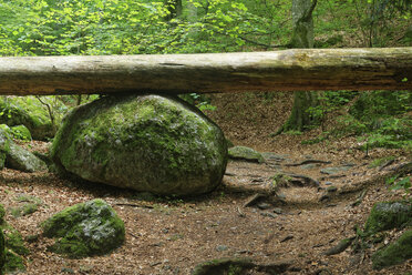 Austria, Lower Austria, Ysper valley, fallen tree on a stone - GFF000254