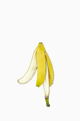 Banana peel, studio shot - AXF000489