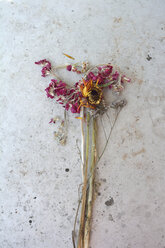 Verwelkte Blumen, Studioaufnahme - AX000490