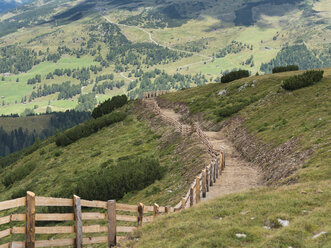 Italy, South Tyrol, Villanderer Alm, wodden fence and track - HLF000216