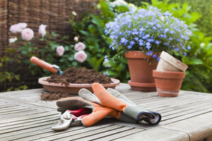 Germany, Stuttgart, Gardening equipment on wooden table - WDF001954