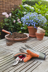 Germany, Stuttgart, Gardening equipment on wooden table - WDF001955