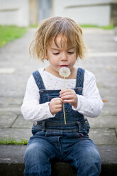 Little girl looking at the dandelion in her hands - LVF000204