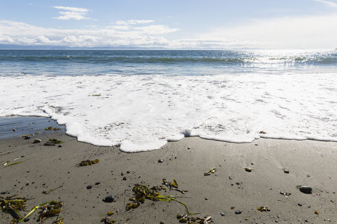 Kanada, Britisch-Kolumbien, Vancouver Island, French Beach Provincial Park - FOF005248