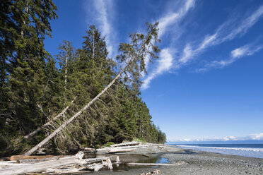 Canada, British Columbia, Vancouver Island, Juan de Fuca Provincial Park - FOF005261