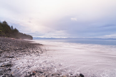 Kanada, Britisch-Kolumbien, Vancouver Island, French Beach Provincial Park - FOF005253