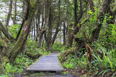 Kanada, Britisch-Kolumbien, Vancouver Island, Botanischer Strandpark, lizenzfreies Stockfoto