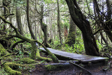 Canada, British Columbia, Vancouver Island, Botanical Beach Park - FO005257