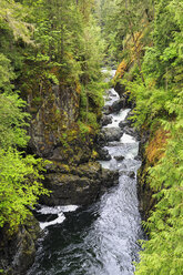 Kanada, Britisch-Kolumbien, Vancouver Island, Englishman River Falls Provincial Park - FO005274