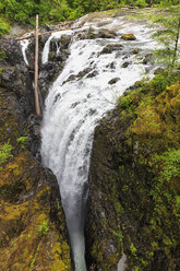 Canada, British Columbia, Vancouver Island, Waterfall in Englishman River Falls Provincial Park - FOF005275