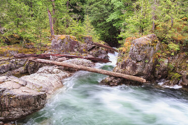 Kanada, Britisch-Kolumbien, Vancouver Island, Little Qualicum Falls Provincial Park - FOF005277