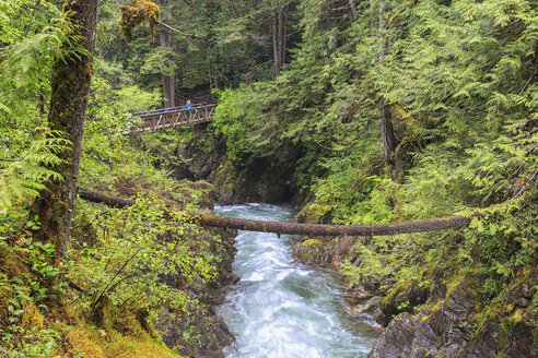Kanada, Britisch-Kolumbien, Vancouver Island, Little Qualicum Falls Provincial Park - FO005278