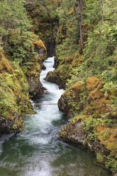 Canada, British Columbia, Vancouver Island, Little Qualicum Falls Provincial Park - FOF005280